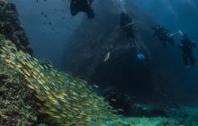 Galeria z wyjazdu do Tajlandii 2019 turnus II