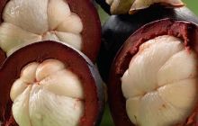 Galeria z wyjazdu do Tajlandii 2019 turnus II