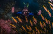 Galeria z wyjazdu do Tajlandii 2019 turnus II