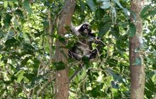 Galeria z wyjazdu do Tajlandii 2019 turnus II