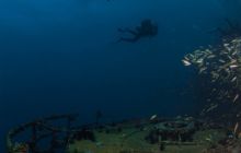 Galeria z wyjazdu do Tajlandii 2019 turnus II