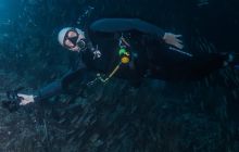 Galeria z wyjazdu do Tajlandii 2019 turnus II