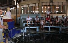 Galeria z wyjazdu do Tajlandii 2019 turnus II