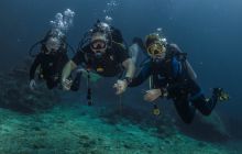 Galeria z wyjazdu do Tajlandii 2019 turnus II