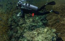 Galeria z wyjazdu do Tajlandii 2019 turnus II