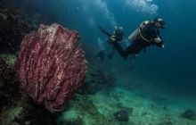 Galeria z wyjazdu do Tajlandii 2019 turnus II