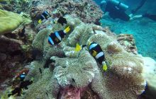 Galeria z wyjazdu do Tajlandii 2019 turnus II