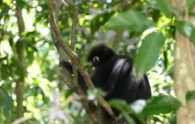 Galeria z wyjazdu do Tajlandii 2019 turnus II