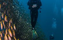 Galeria z wyjazdu do Tajlandii 2019 turnus II