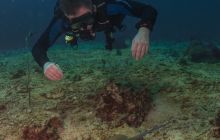 Galeria z wyjazdu do Tajlandii 2019 turnus II