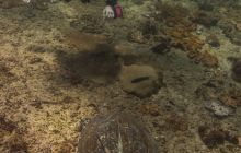 Galeria z wyjazdu do Tajlandii 2019 turnus II