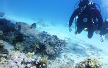 Galeria z wyjazdu do Safagi 2019