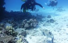 Galeria z wyjazdu do Safagi 2019