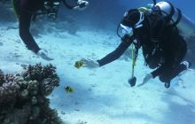 Galeria z wyjazdu do Safagi 2019