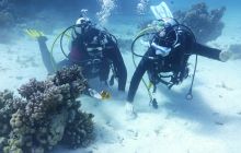 Galeria z wyjazdu do Safagi 2019