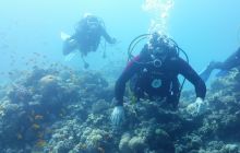 Galeria z wyjazdu do Safagi 2019