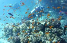 Galeria z wyjazdu do Safagi 2019