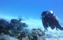 Galeria z wyjazdu do Safagi 2019