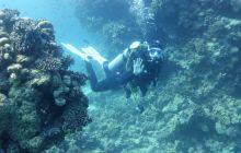 Galeria z wyjazdu do Safagi 2019