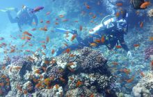 Galeria z wyjazdu do Safagi 2019