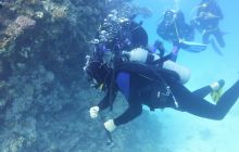 Galeria z wyjazdu do Safagi 2019