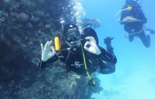 Galeria z wyjazdu do Safagi 2019