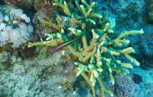 Galeria z wyjazdu do Safagi 2019