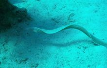 Galeria z wyjazdu do Safagi 2019