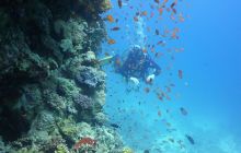 Galeria z wyjazdu do Safagi 2019