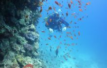 Galeria z wyjazdu do Safagi 2019