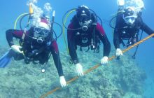 Galeria z wyjazdu do Safagi 2019