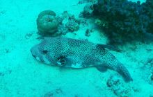 Galeria z wyjazdu do Safagi 2019