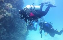 Galeria z wyjazdu do Safagi 2019