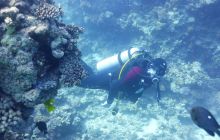 Galeria z wyjazdu do Safagi 2019