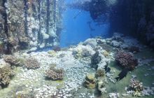 Galeria z wyjazdu do Safagi 2019