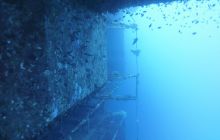 Galeria z wyjazdu do Safagi 2019