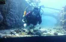 Galeria z wyjazdu do Safagi 2019