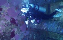 Galeria z wyjazdu do Safagi 2019