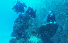 Galeria z wyjazdu do Safagi 2019