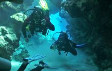 Galeria z wyjazdu do Safagi 2019