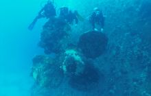 Galeria z wyjazdu do Safagi 2019