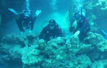 Galeria z wyjazdu do Safagi 2019