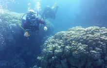 Galeria z wyjazdu do Safagi 2019