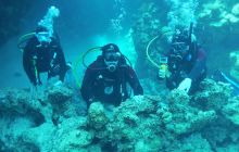 Galeria z wyjazdu do Safagi 2019