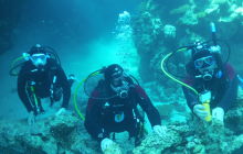 Galeria z wyjazdu do Safagi 2019