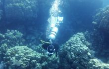 Galeria z wyjazdu do Safagi 2019