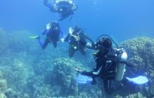 Galeria z wyjazdu do Safagi 2019