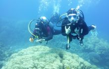 Galeria z wyjazdu do Safagi 2019