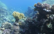 Galeria z wyjazdu do Safagi 2019