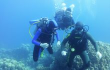 Galeria z wyjazdu do Safagi 2019